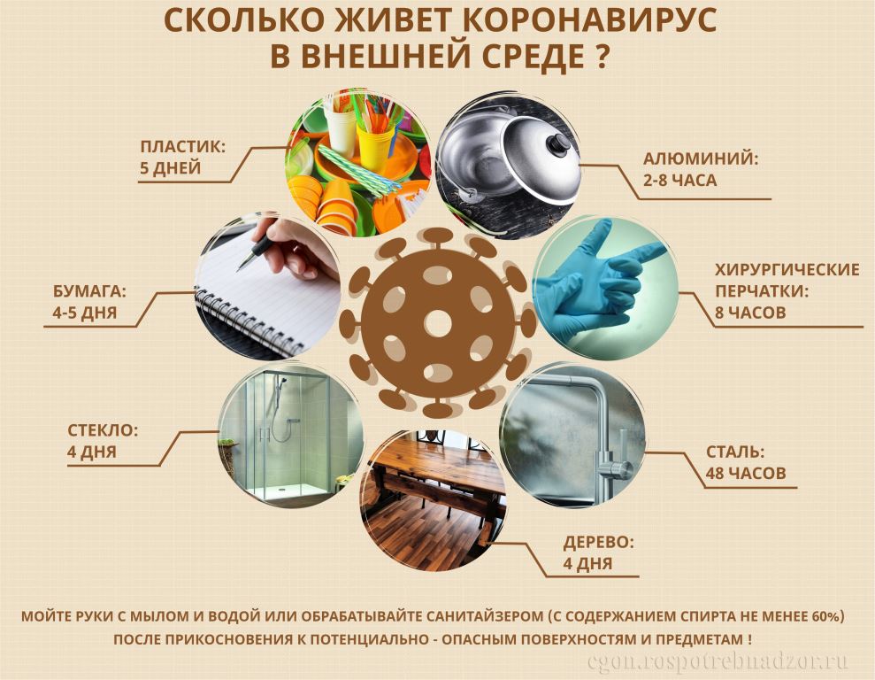 Сколько живет коронавирус во внешней среде ? Сколько живет коронавирус во внешней среде ?.