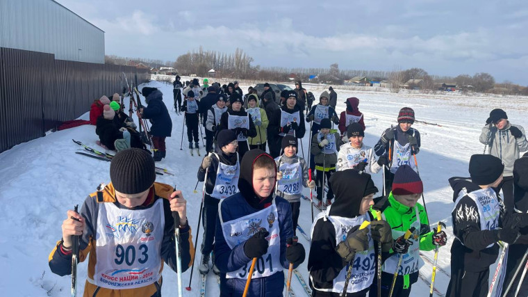 Районные соревнования по лыжным гонкам.